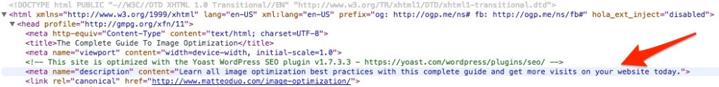 WordPress SEO Plugin meta description code