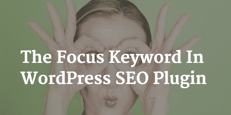 The Focus Keywords In WP SEO Plugin by Yoast